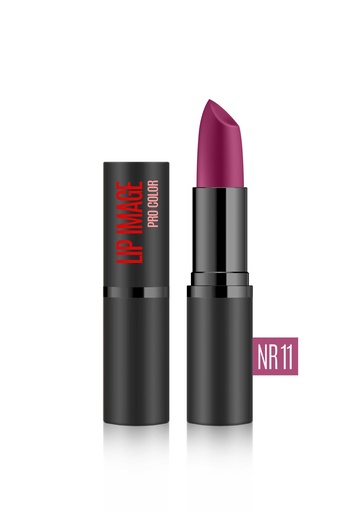 [lip07] Lip Stics LIP IMAGE Pro Color Satin Intensive Pigment # 11