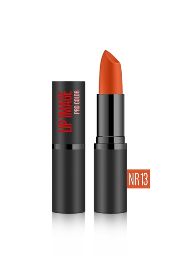 [lip09] Lip Stics LIP IMAGE Pro Color Satin Intensive Pigment # 13